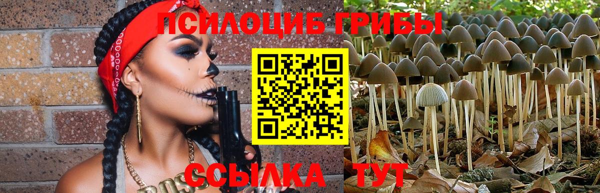 Люберцы  Псилоцибиновые грибы MAGIC MUSHROOMS  Вход с VPN 