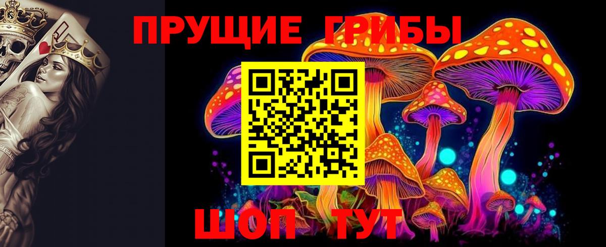 Галлюциногенные грибы GOLDEN TEACHER Люберцы